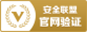新疆圣湖能源
